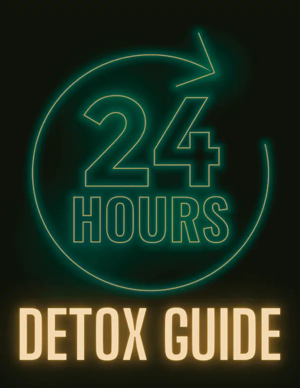 leanflux detox guide ebook